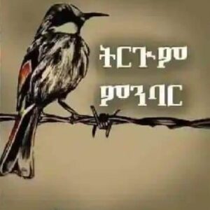 ትርጉም ምንባር – trgum-mnbar