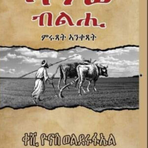 ኣንፊ ብንሒ