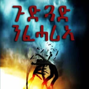 ጉድጓድ ንፍሓሪኣ – gudguad n feharia