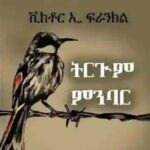 Lulya Books | ሉልያ መጻሕፍቲ