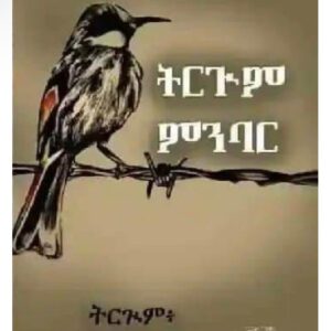 ትርጉም ምንባር